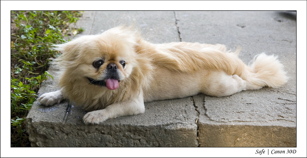 2008 - 07 - Macau - 040